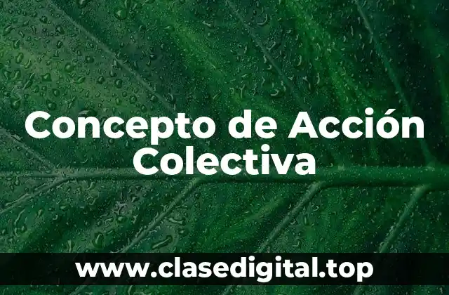 Concepto de Acción Colectiva