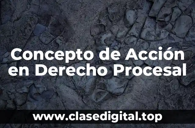 Concepto de Acción en Derecho Procesal