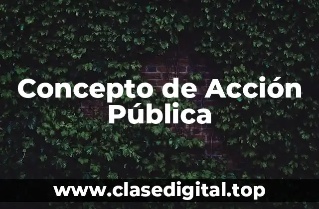 Concepto de Acción Pública