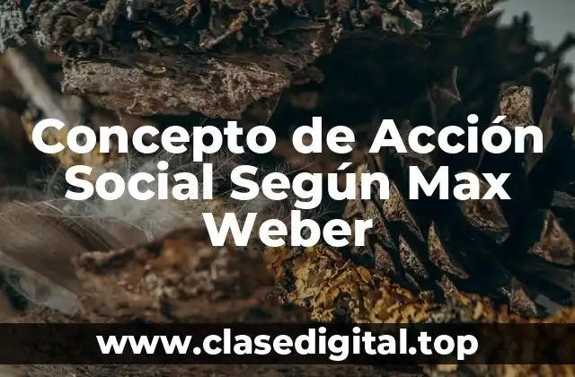 Concepto de Acción Social Según Max Weber