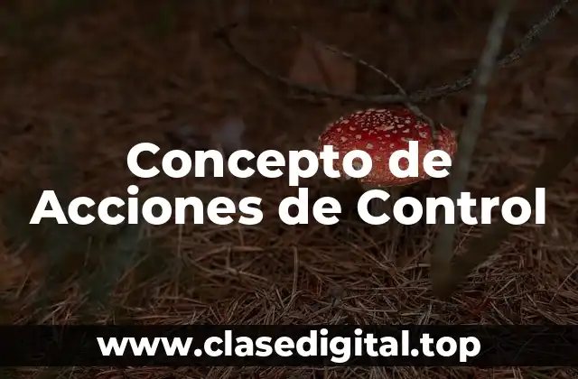 Concepto de Acciones de Control