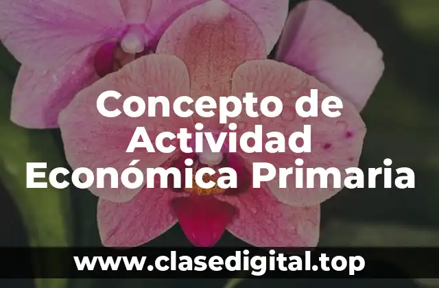 Concepto de Actividad Económica Primaria