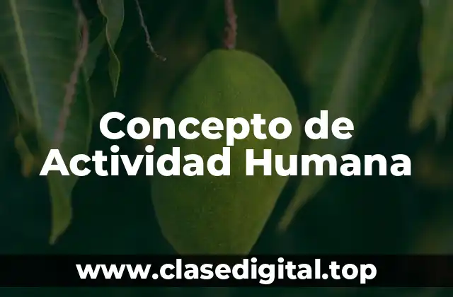 Concepto de Actividad Humana