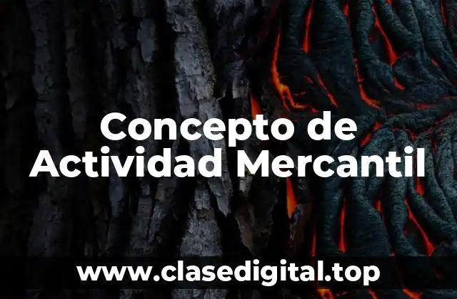 Concepto de Actividad Mercantil
