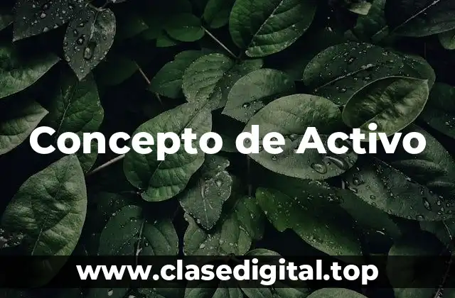 Concepto de Activo