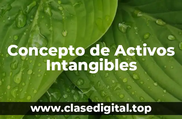 Concepto de Activos Intangibles