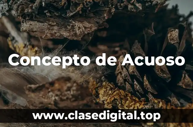 Concepto de Acuoso