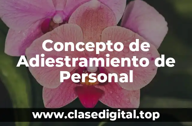 Concepto de Adiestramiento de Personal