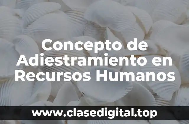 Concepto de Adiestramiento en Recursos Humanos