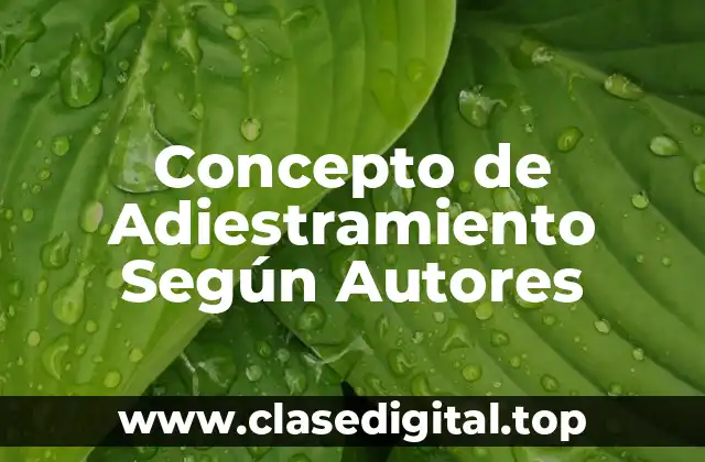 Concepto de Adiestramiento Según Autores