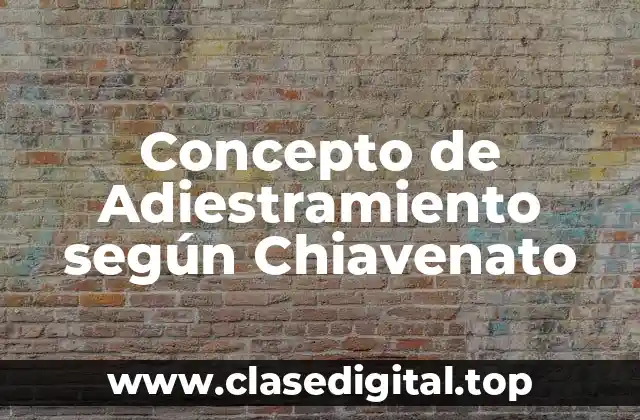 Concepto de Adiestramiento según Chiavenato