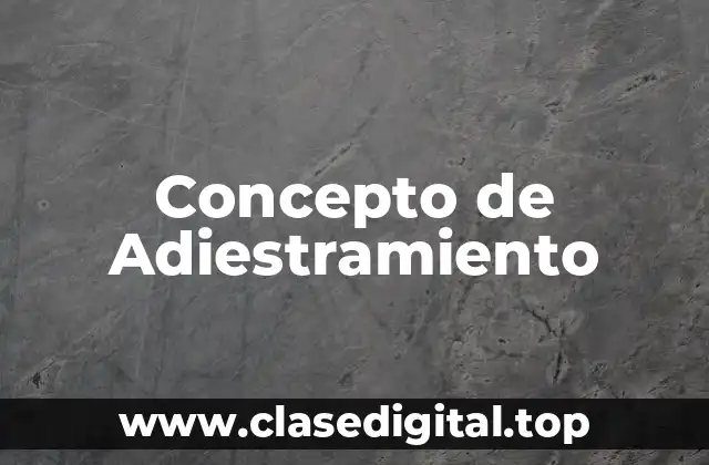 Concepto de Adiestramiento