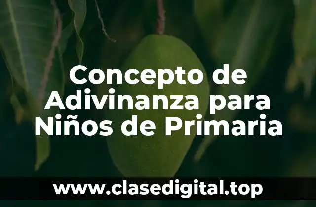 Concepto de Adivinanza para Niños de Primaria