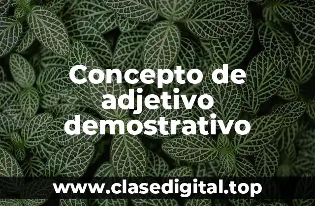 Concepto de adjetivo demostrativo