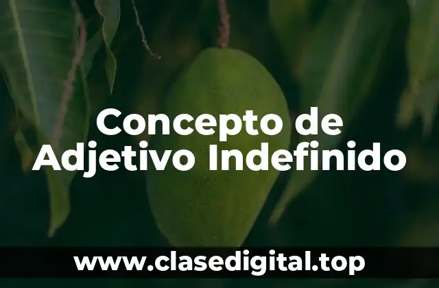 Concepto de Adjetivo Indefinido