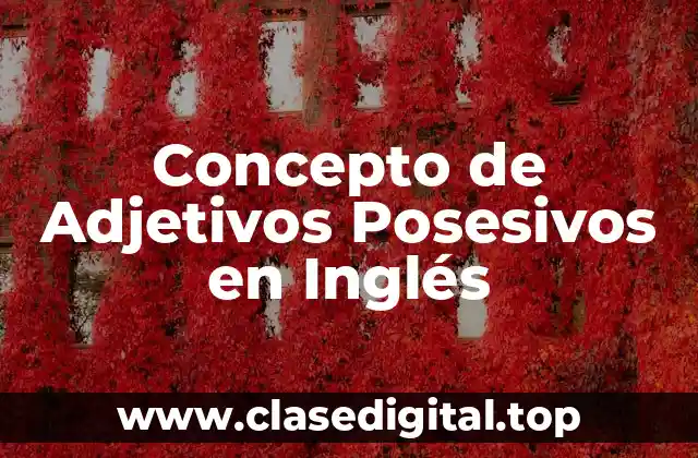 Concepto de Adjetivos Posesivos en Inglés