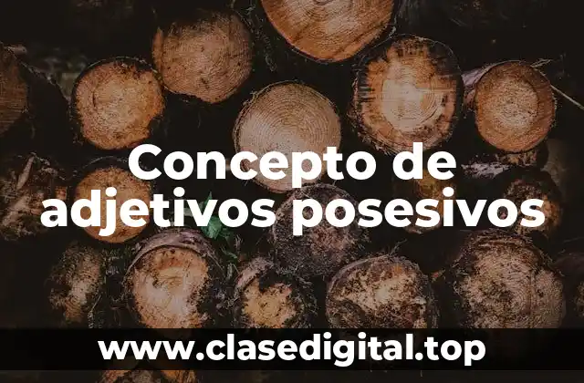 Concepto de adjetivos posesivos