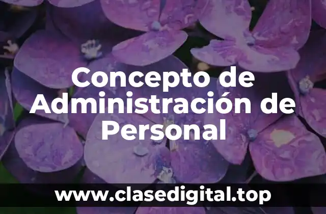 Concepto de Administración de Personal
