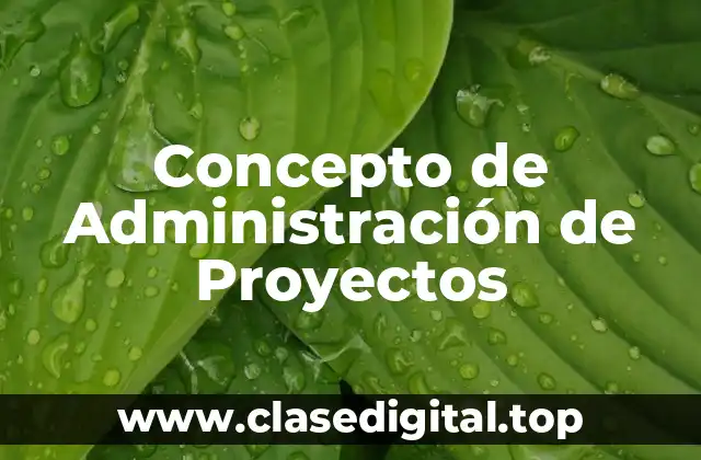 Concepto de Administración de Proyectos