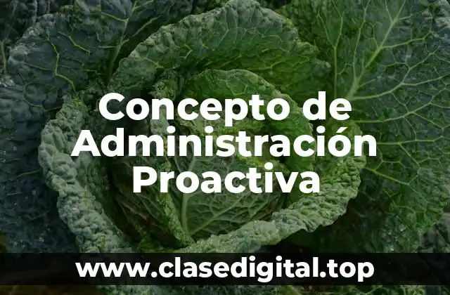 Concepto de Administración Proactiva