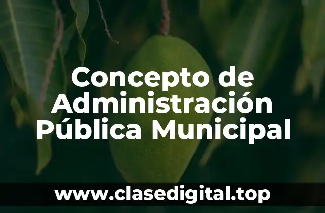 Concepto de Administración Pública Municipal