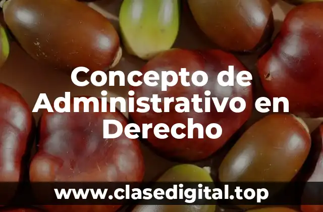 Concepto de Administrativo en Derecho