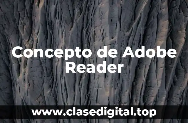 Concepto de Adobe Reader