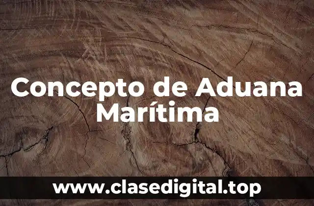 Concepto de Aduana Marítima