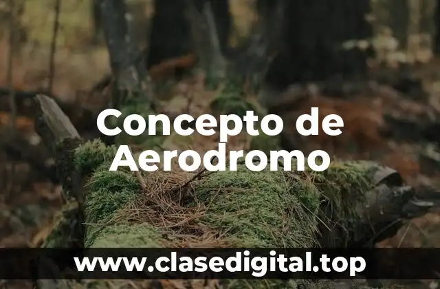 Concepto de Aerodromo