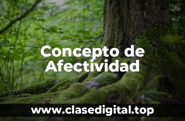 Concepto de Afectividad