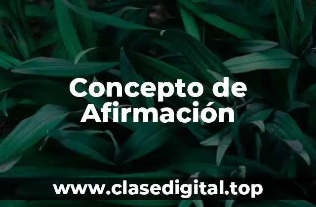 Concepto de Afirmación
