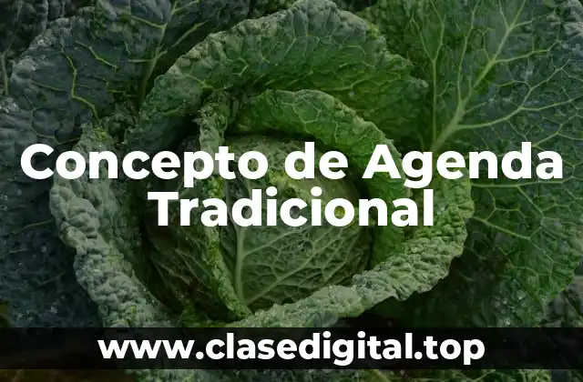 Concepto de Agenda Tradicional