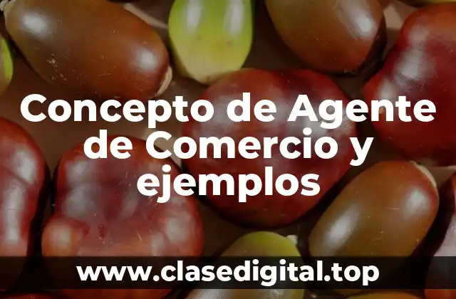 Concepto de Agente de Comercio y ejemplos