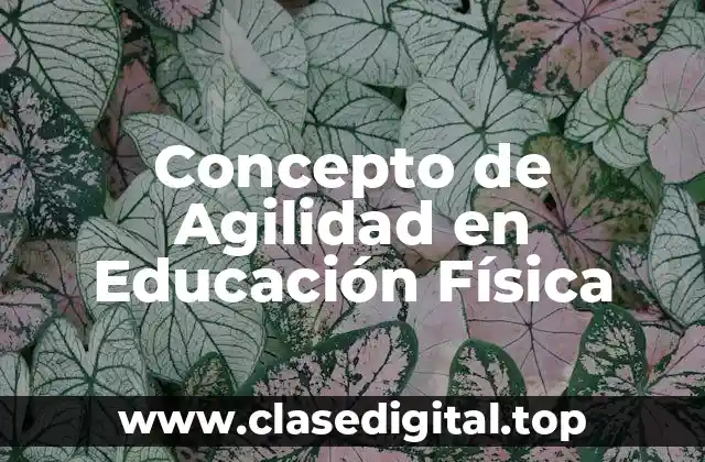Concepto de Agilidad en Educación Física