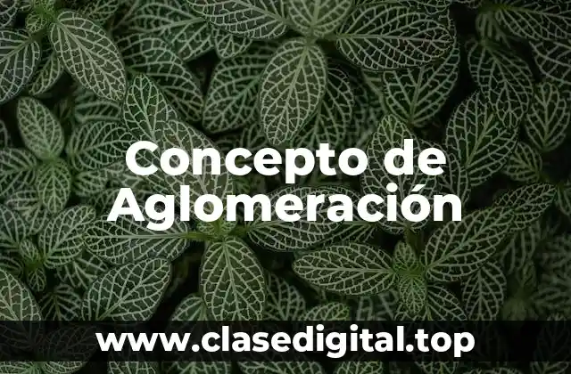 Concepto de Aglomeración