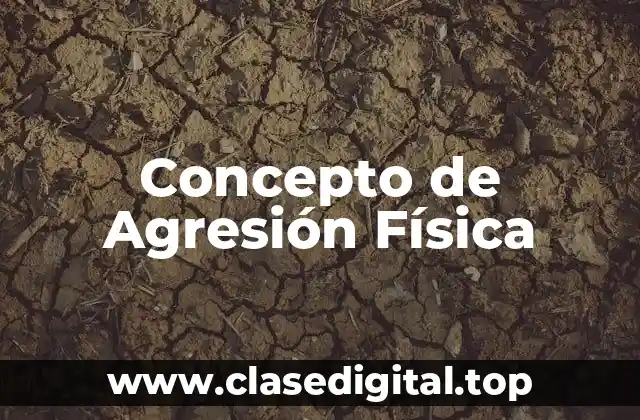 Concepto de Agresión Física
