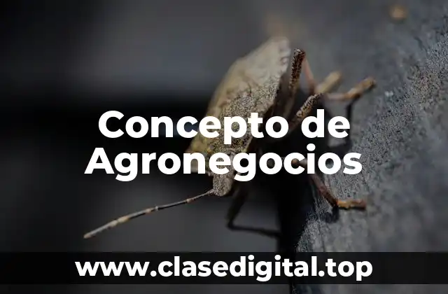 Concepto de Agronegocios