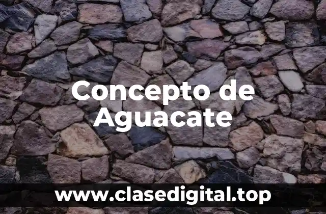 Concepto de Aguacate