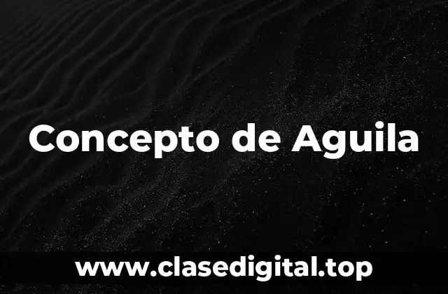 Concepto de Aguila