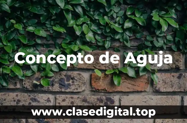 Concepto de Aguja