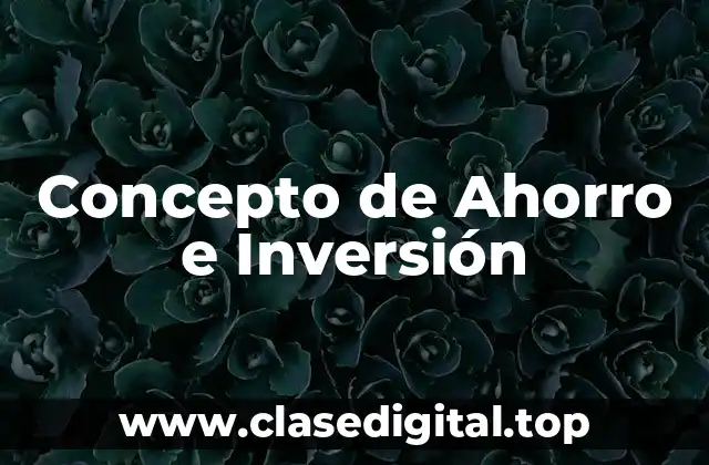 Concepto de Ahorro e Inversión