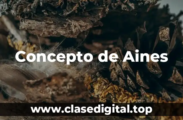 Concepto de Aines
