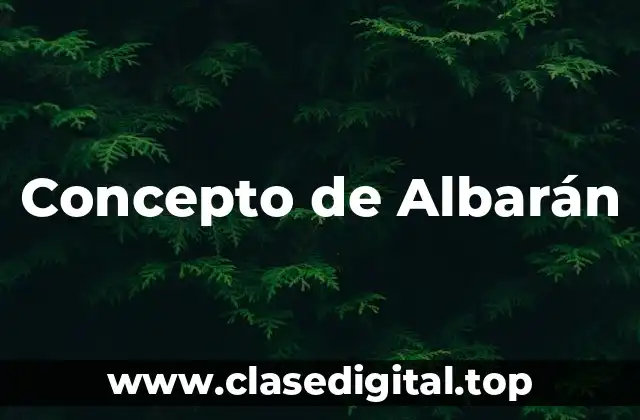 Concepto de Albarán