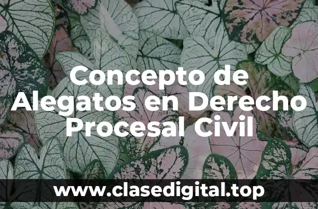 Concepto de Alegatos en Derecho Procesal Civil