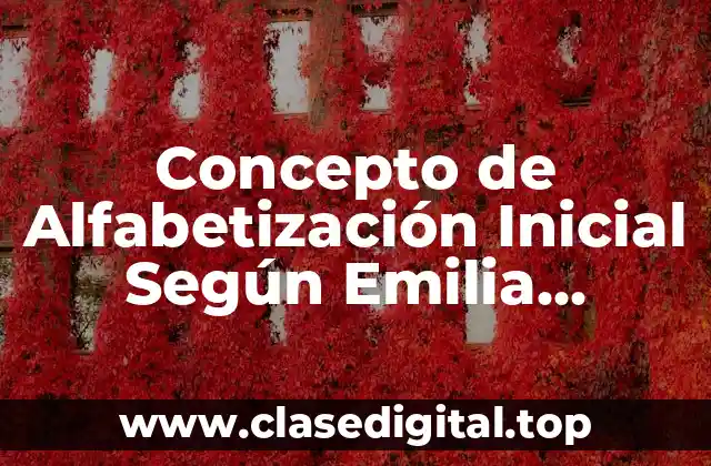 Concepto de Alfabetización Inicial Según Emilia Ferreiro