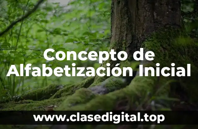 ☑️ Concepto de Alfabetización Inicial