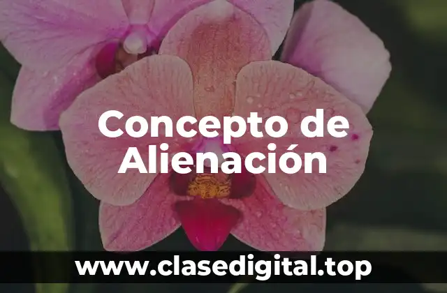 📗 Concepto de Alienación