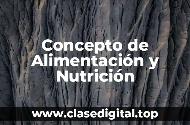 Concepto de Alimentación y Nutrición