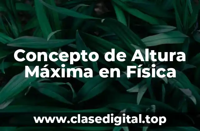 Concepto de Altura Máxima en Física