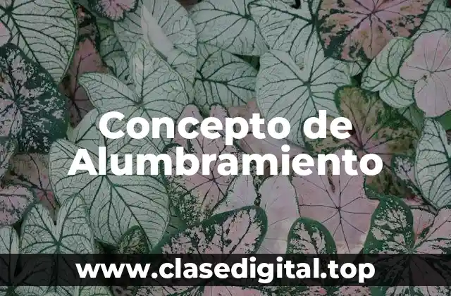 Concepto de Alumbramiento